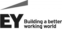 Logo EY - poziome